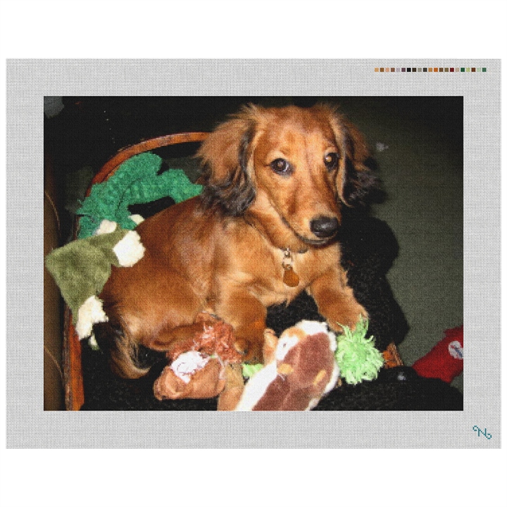 Dachshund Needlepoint Kit Stitched Preview