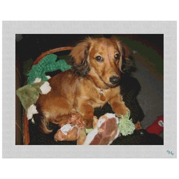 Dachshund Needlepoint Kit