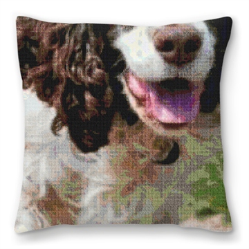 English Springer Spaniel Needlepoint Pillow