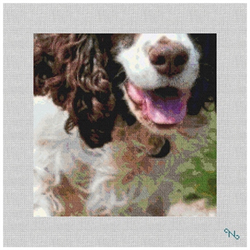 English Springer Spaniel Needlepoint Pillow Kit Stitched Preview