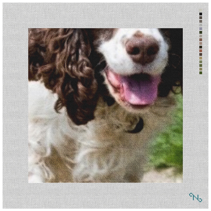 English Springer Spaniel Needlepoint Pillow Kit Stitched Preview