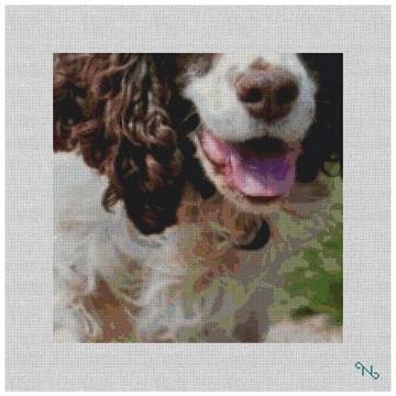 English Springer Spaniel Needlepoint Pillow Kit