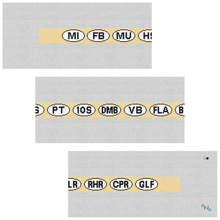 Favorite Places Needlepoint Belt Kit Stitched Preview