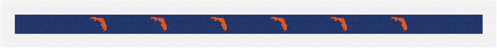 Florida State Needlepoint Belt Kit