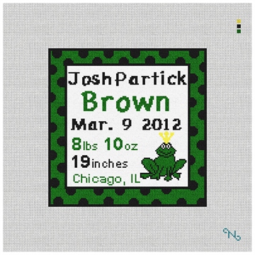 Frog Needlepoint Baby Pillow Kit Stitched Preview