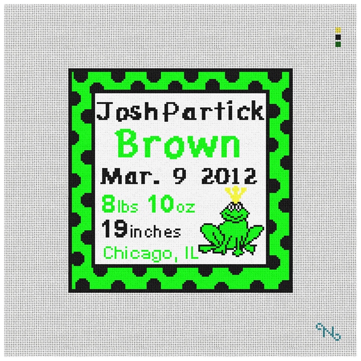 Frog Needlepoint Baby Pillow Kit Stitched Preview