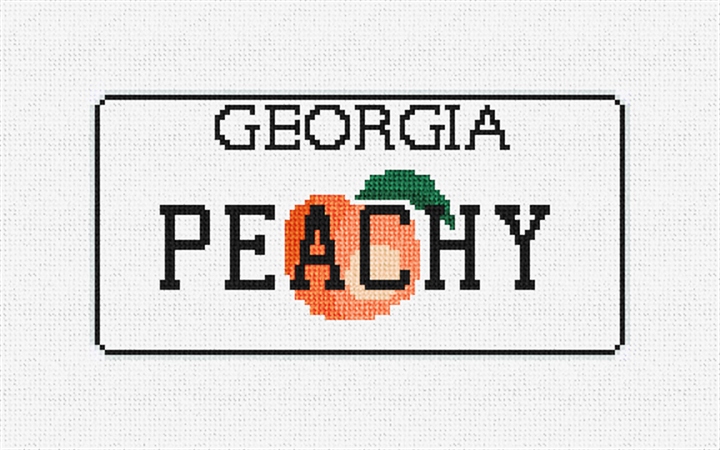 Georgia Vanity Plate Needlepoint Ornament Kit