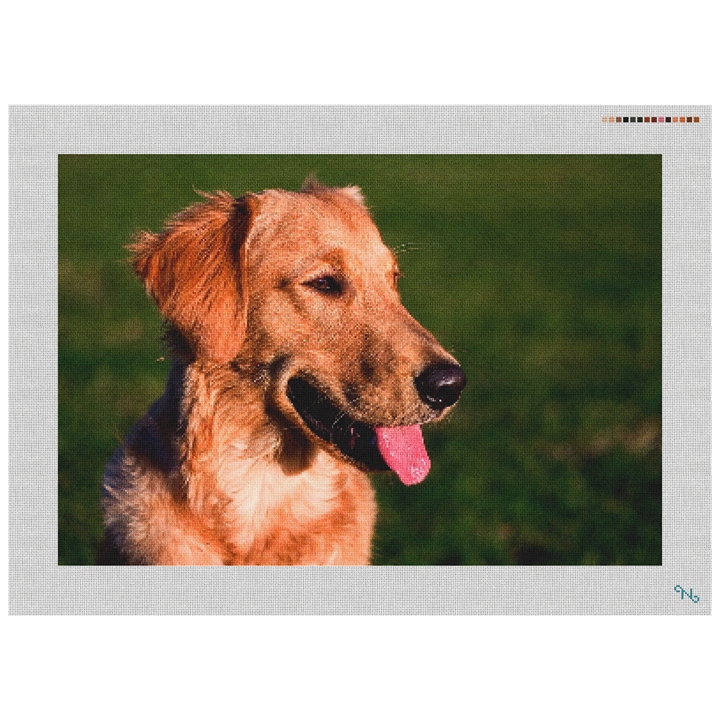Golden Retriever Needlepoint Kit Stitched Preview