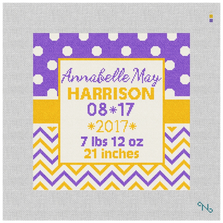 Graphic Baby Announcement Needlepoint Kit Stitched Preview
