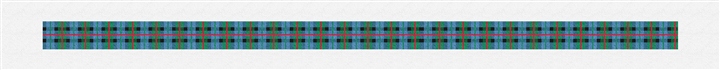 Gunn Tartan Needlepoint Belt Kit
