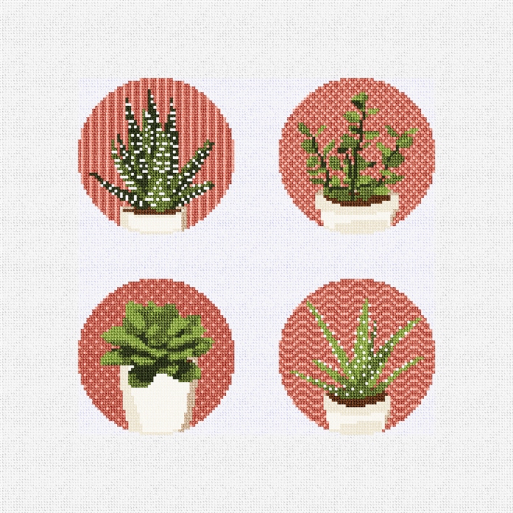 Hardy Succulents Needlepoint Coaster Ornament Kit
