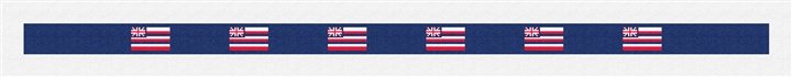 Hawaii Flag Needlepoint Belt Kit