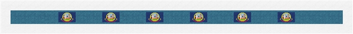 Idaho Flag Needlepoint Belt Kit