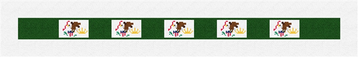 Illinois Flag Needlepoint Dog Collar Kit