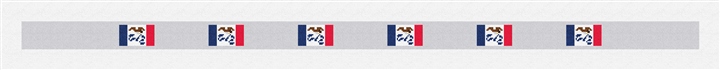 Iowa Flag Needlepoint Belt Kit