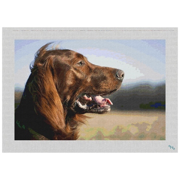 Irish Setter Needlepoint Kit Stitched Preview