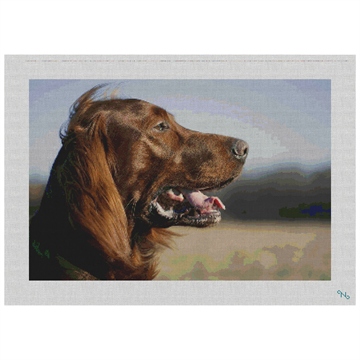 Irish Setter Needlepoint Kit