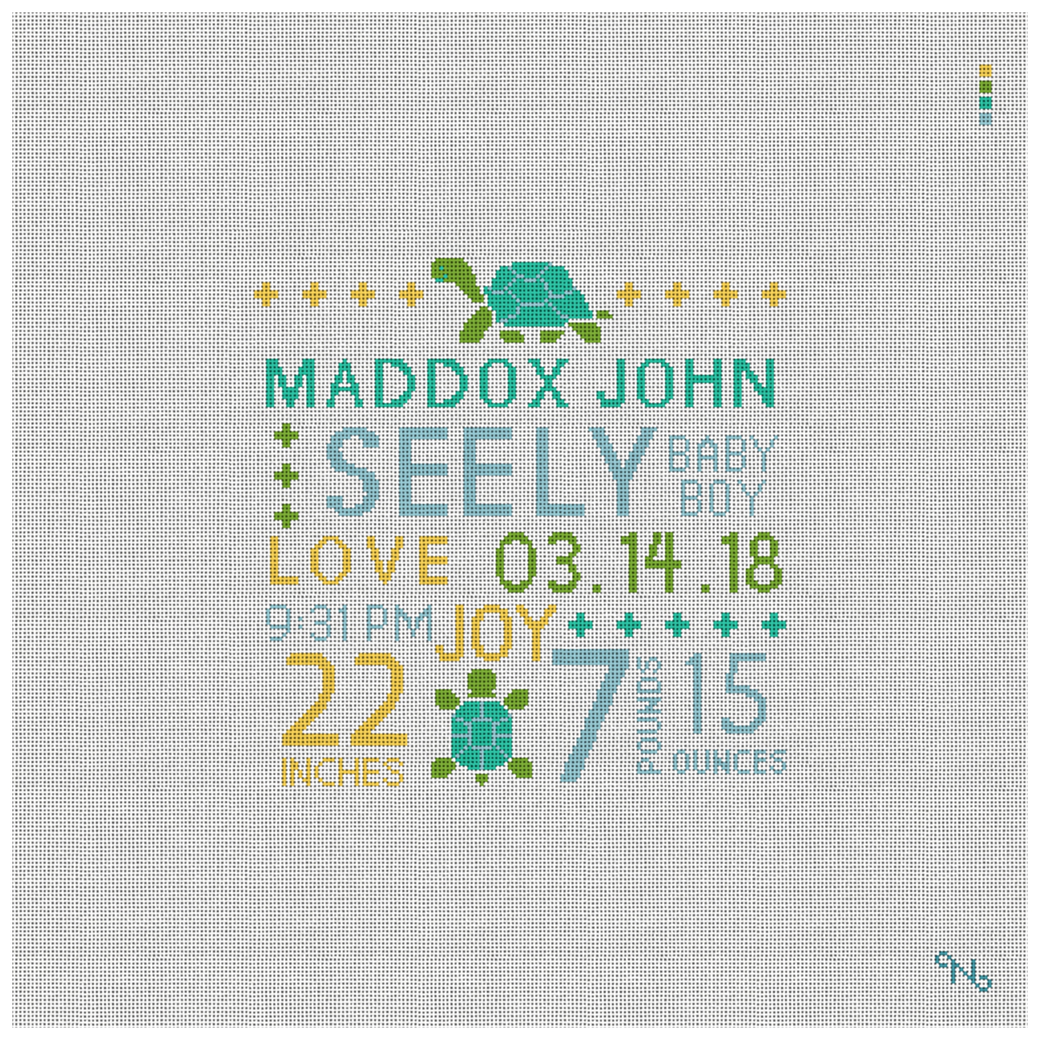 It's A Boy Needlepoint Pillow Kit