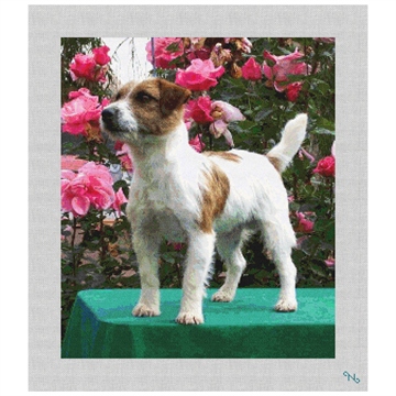 Jack Russell Terrier Needlepoint Kit Stitched Preview