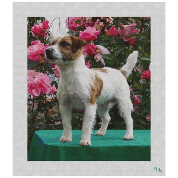 Jack Russell Terrier Needlepoint Kit