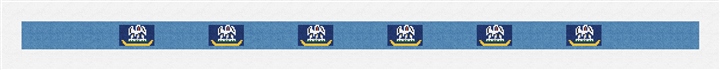 Louisiana Flag Needlepoint Belt Kit