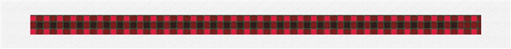 MacNab Tartan Needlepoint Belt Kit