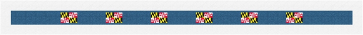 Maryland Flag Needlepoint Belt Kit