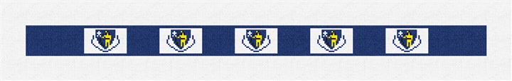 Massachusetts Flag Needlepoint Dog Collar Kit