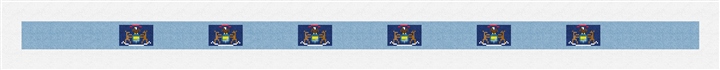 Michigan Flag Needlepoint Belt Kit