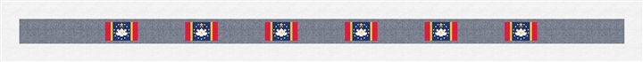 Mississippi Flag Needlepoint Belt Kit