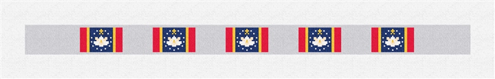 Mississippi Flag Needlepoint Dog Collar Kit