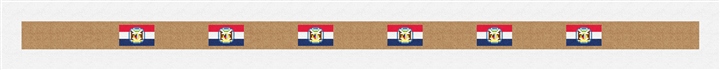 Missouri Flag Needlepoint Belt Kit