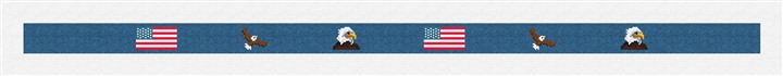National Pride Needlepoint Belt Kit