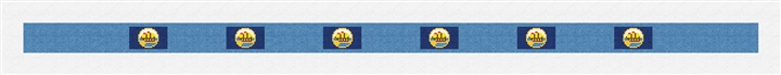 New Hampshire Flag Needlepoint Belt Kit