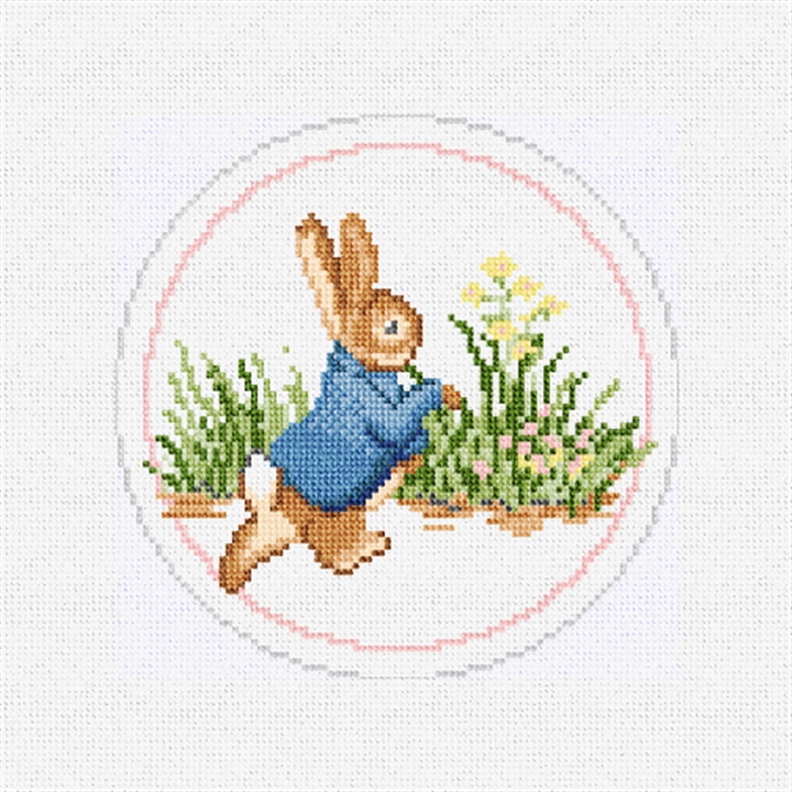 Peter Rabbit Needlepoint Ornament Kit