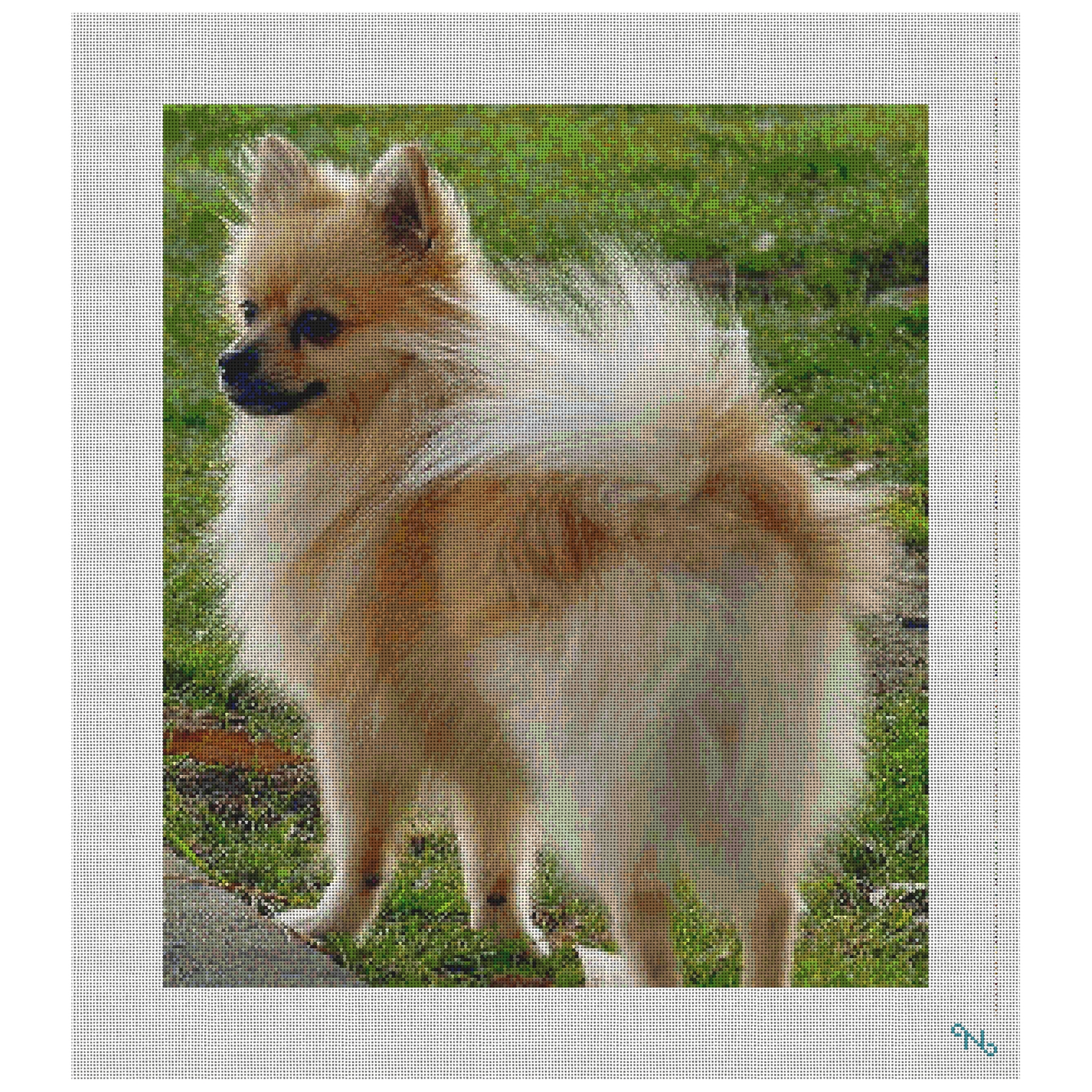 Pomeranian Needlepoint Kit
