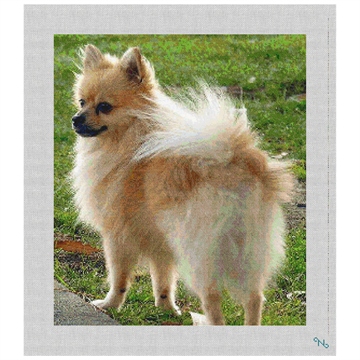Pomeranian Needlepoint Kit Stitched Preview