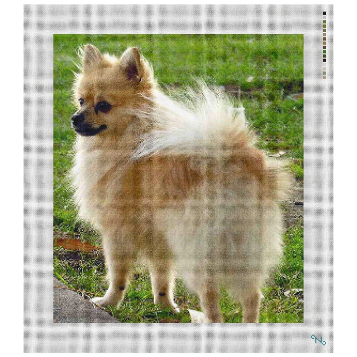 Pomeranian Needlepoint Kit Stitched Preview