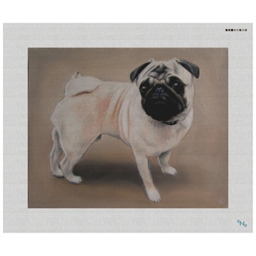 Pug Needlepoint Kit