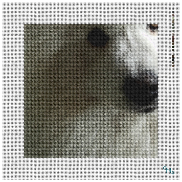 Samoyed Needlepoint Pillow Kit Stitched Preview