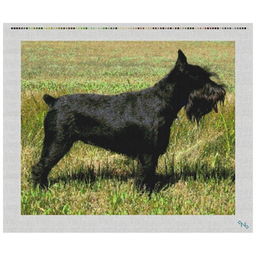 Schnauzer Needlepoint Pillow Kit Stitched Preview