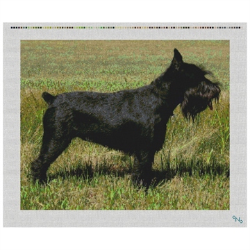 Schnauzer Needlepoint Pillow Kit