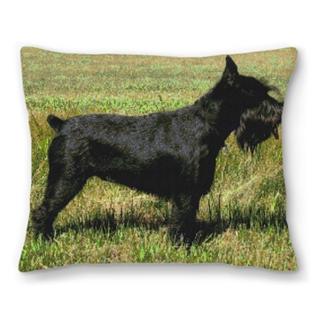 Schnauzer Personalized Needlepoint Pillow