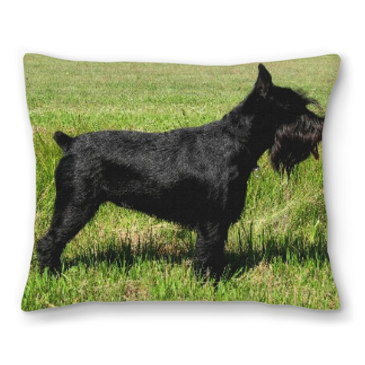 Schnauzer Personalized Needlepoint Pillow