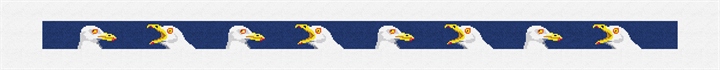 Seagull Needlepoint Belt Kit Stitched Preview