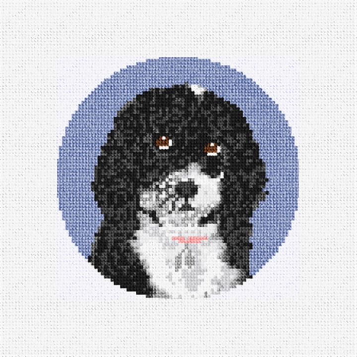 Sheepadoodle Needlepoint Ornament Kit