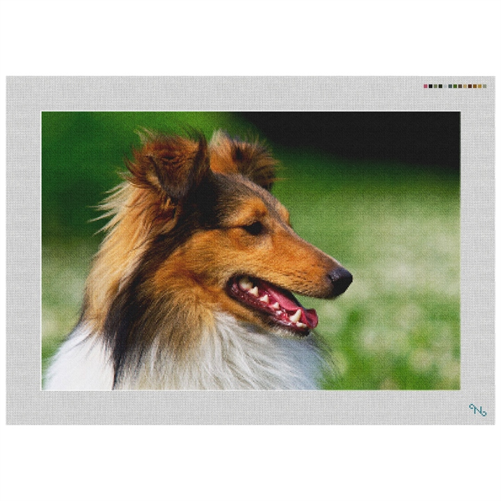 Shetland Sheepdog Needlepoint Kit Stitched Preview