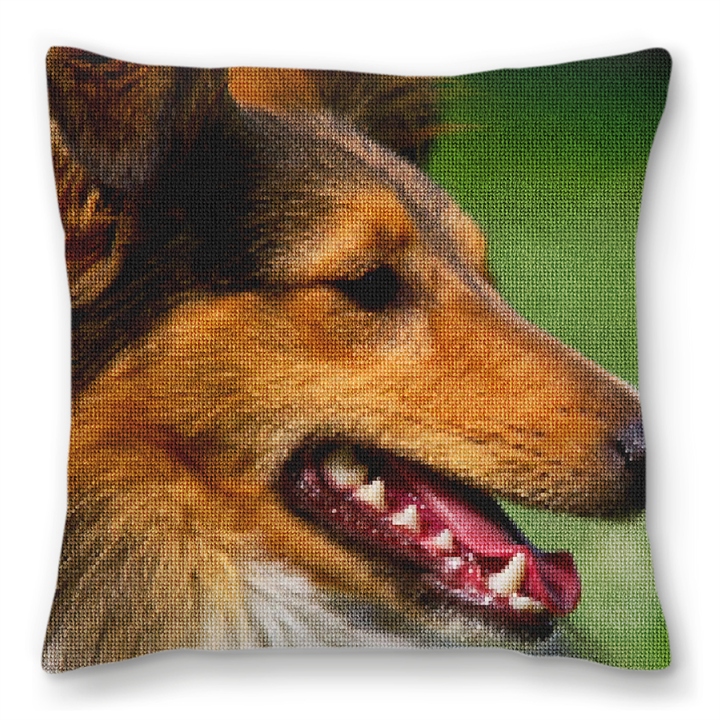 Shetland Sheepdog Personalized Pillow