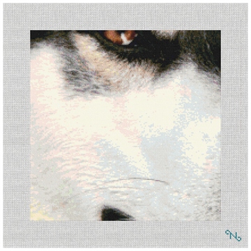 Siberian Husky Needlepoint Pillow Kit Stitched Preview