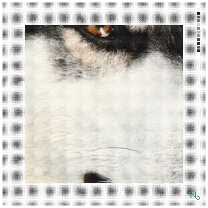 Siberian Husky Needlepoint Pillow Kit Stitched Preview